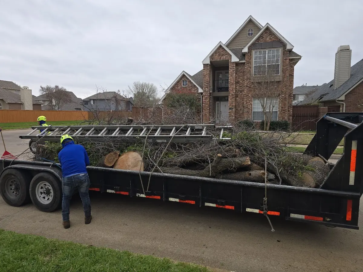 Expert Tree Pest Control with proper safety equipment in Hillview